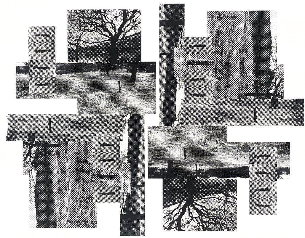 Silk screen print experimenting with colour and grid interference